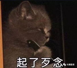  网友一张图,告诉你夏天太阳有多毒笑到窒息哈哈哈哈哈哈哈哈嗝