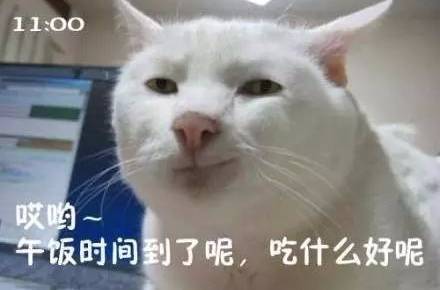  心情好的时候你通常会做什么