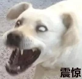  当演技类综艺变成台上撕逼,我们还能看什么