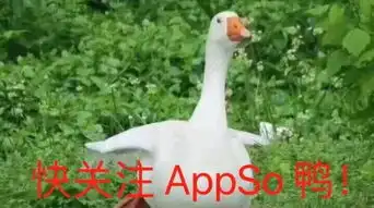  微信最火的鸭鸭表情包大集合,快来带走鸭内附资源有用功