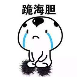  幽默段子笑话坐在大巴车倒数第二排,椅背有些问题