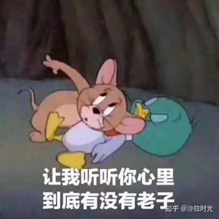 你是属于我的表情包猫和