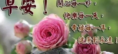  人生是一盘棋,子已落定就不能反悔,早安