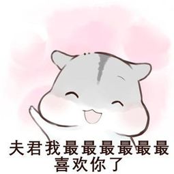 十条段子昨天换工作,租了个房子,今天找不到在哪了