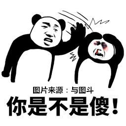  绝不能对女生说的话表情包