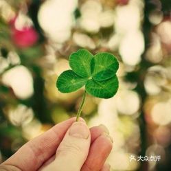  电话,地址,价格,营业时间安庆电影演出赛事
