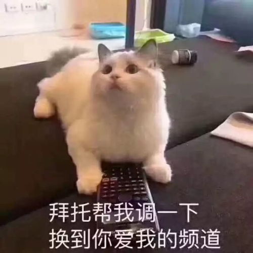  从铜盘路36号至羊坊店西路xx号