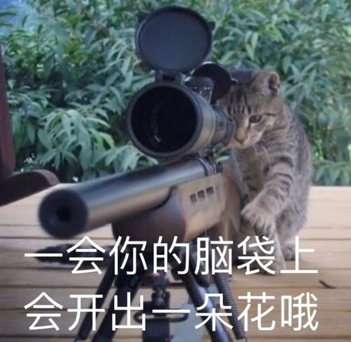 吊车图片微信表情包保温