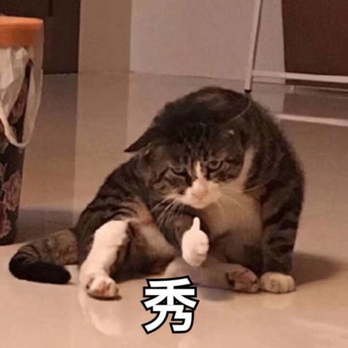  eve手游绝地qj上演旗舰大战dft惨遭洗机库