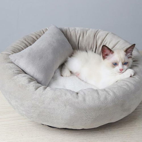  网红猫窝夏季猫床加绒猫垫睡觉睡垫别墅猫咪用品宠物狗窝四季通用