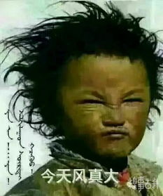  周六中午,开车带一女同事去接她表姐,她表姐带着一个五六岁的小正太隔
