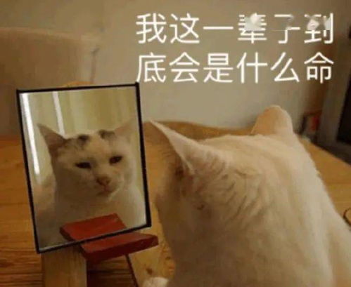  这条见证睢宁发展的路,即将大变身