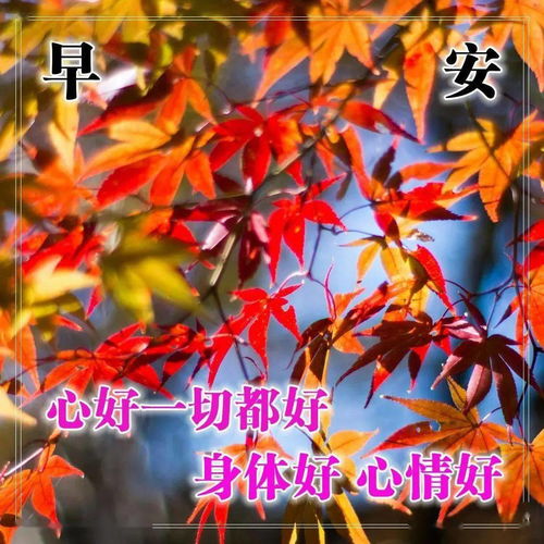  7张秋日最美枫叶早安图片带字带祝福语10月最暖心的秋天早上好问候祝福图片精选