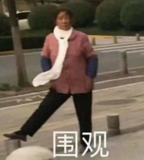  土味表情包农村大妈gif