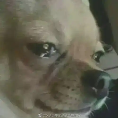 那我不要了表情包表情包
