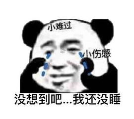  熊猫头晚睡熬夜表情包