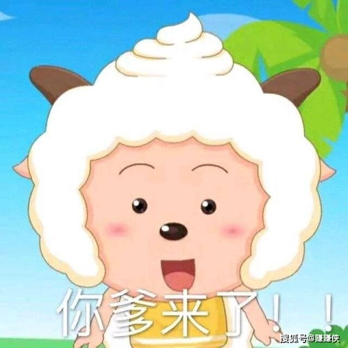  最新热门表情包图片微信抖音qq聊天常用