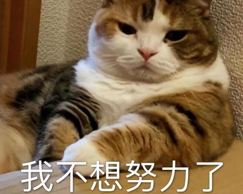  宁静夸张艺谋,只因敢于启用新人,折射出影视剧的包养风