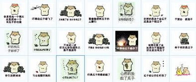  求这只耗子的名字,或者这只耗子的其它图片