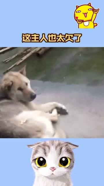 太那个了吧表情包狗子
