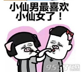  小仙男表情包最新电脑下载小仙男表情包高清无水印版下载9553下载