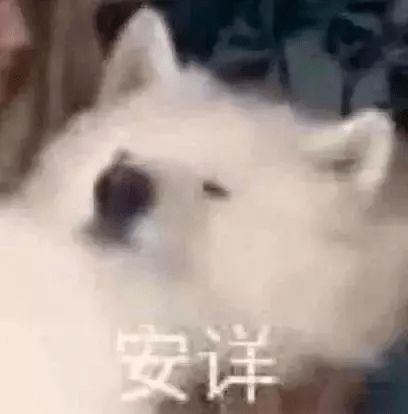  比明侦6还让人觉得悲惨的剧本即将在学校上映,到底谁是凶手