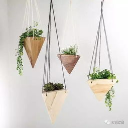  除了福禄寿牡丹花陶土花盆,想要高级感为什么不试试几何花器