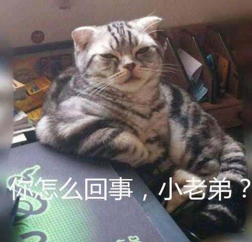  日本最一流的游戏大厂之一,如今新作发售1天就遭玩家特别差评