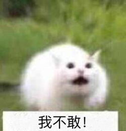  我们群主敢吃屎表情包我们群主敢日仙人球表情包图片下载乐游网游戏下载