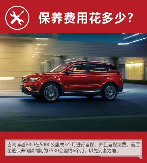 最吉利的花草头像suv