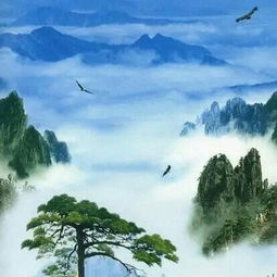  史新刚简历
