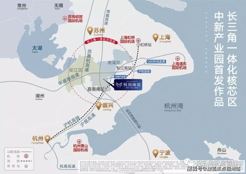  环沪最火楼盘环境最佳的城市商务cbd中心嘉善