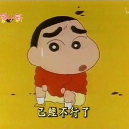  斗图表情包合集我正在忙,一会再说
