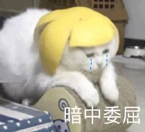 谁喝酒谁是狗表情包开门