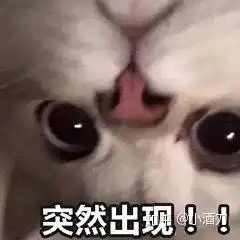 猫的表情包男生专用表情