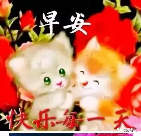  早安祝福语大全微信早安问候语