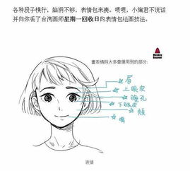  各种表情的画法讲解,收藏练习吧