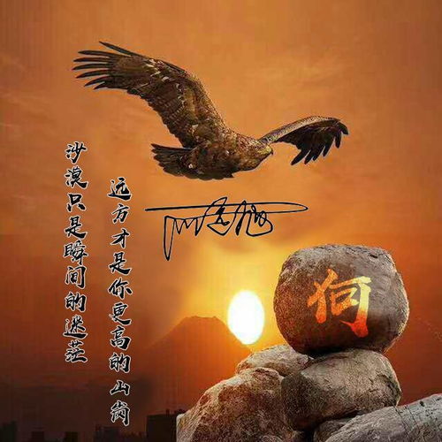  应粉丝要求设计了四十张微信头像,特效连笔艺术签名,请带走吧