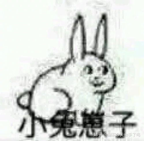  爱用沙雕表情的女孩子就一定沙雕吗