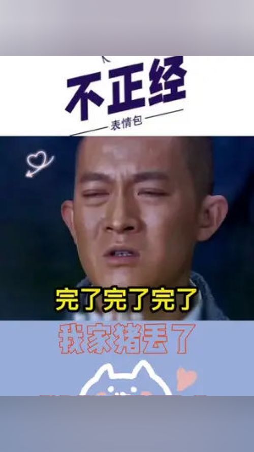 跟猪说话的表情包艾特