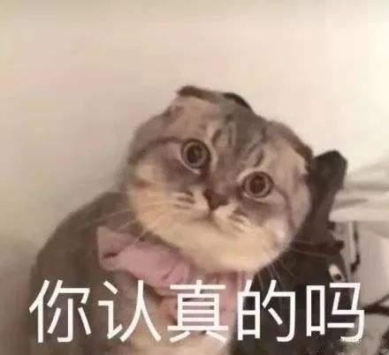  好嗨哦手握防骗秘籍,青妹带你元旦玩嗨武汉
