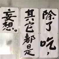  微信特殊头像独一无二2019独一无二头像图片