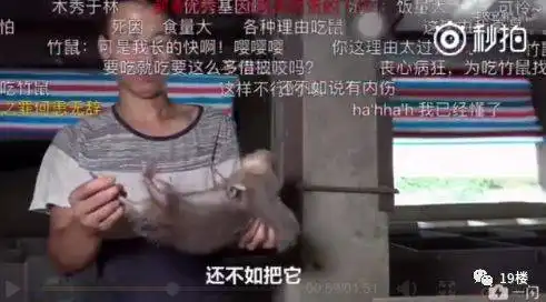  最近一对华农兄弟火了,因为他们的吃播视频,很多网友都沉迷于竹鼠