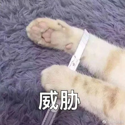 表示期待的表情包表情包