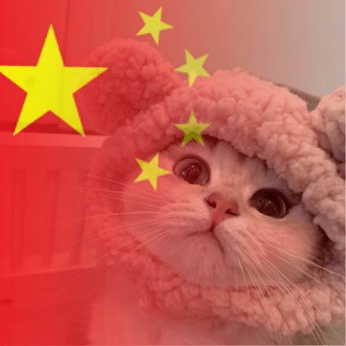 卡通头像一键生成国旗