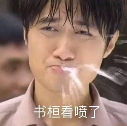  斗图表情包真是惊喜莲莲呢