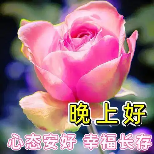 关于晚安的图片表情包愿