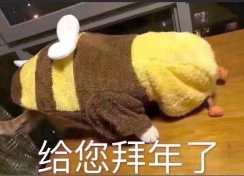  15一张收一些花花卡