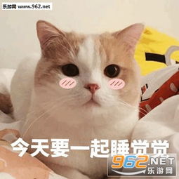 心花怒放粉色心心表情包试图撒娇可爱猫咪心心表情包下载乐游网游戏下载