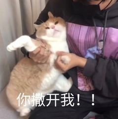  好运泡泡澡的相册沙雕表情包头像